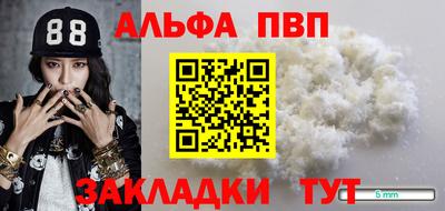 прущие грибы Краснодар