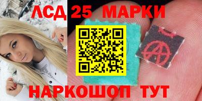 прущие грибы Краснодар